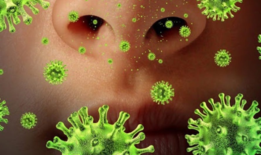 Как долго длится иммунитет нового коронавируса?